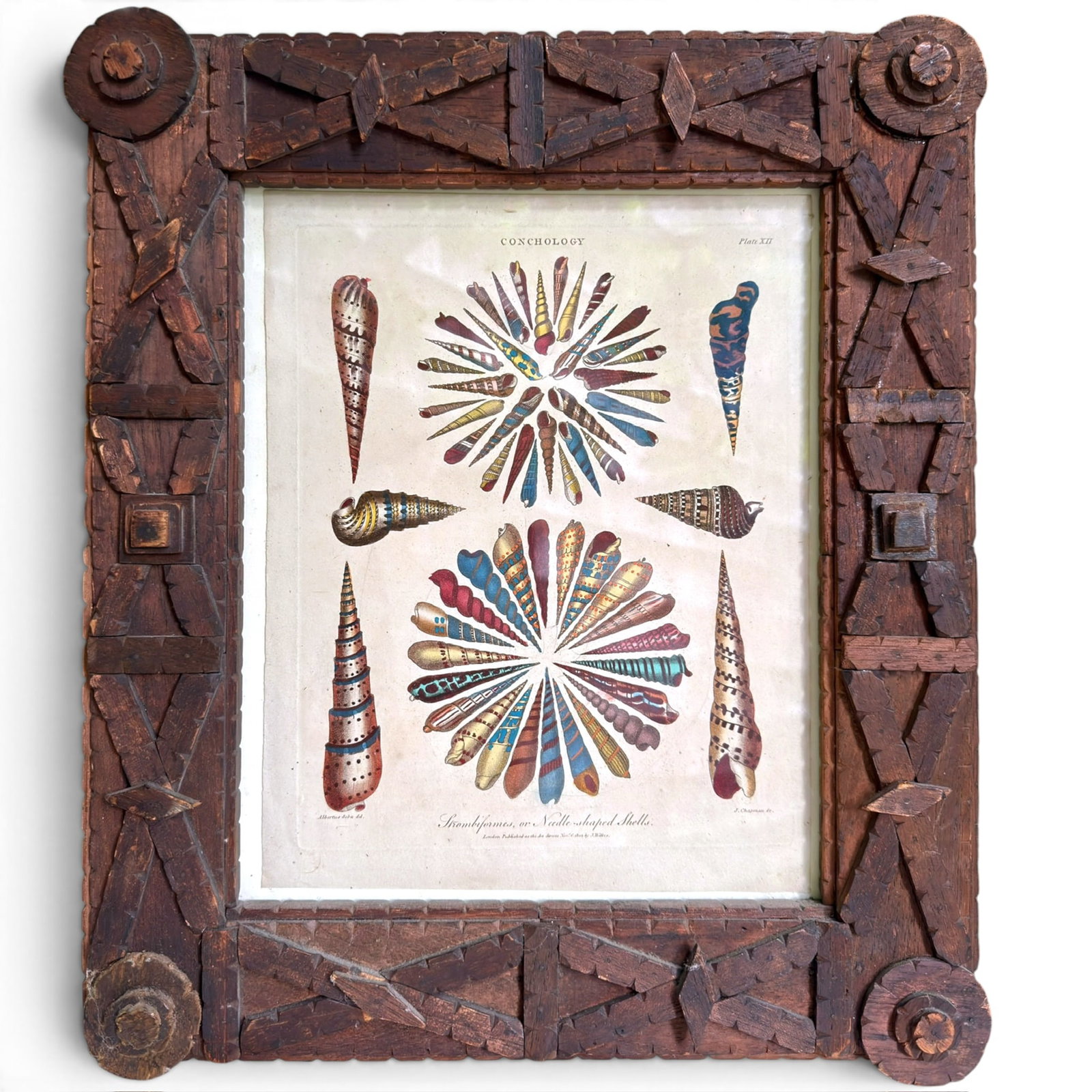 1802 ETCHING of NEEDLE SHELLS in a TRAMP ART FRAME (1 of 5)