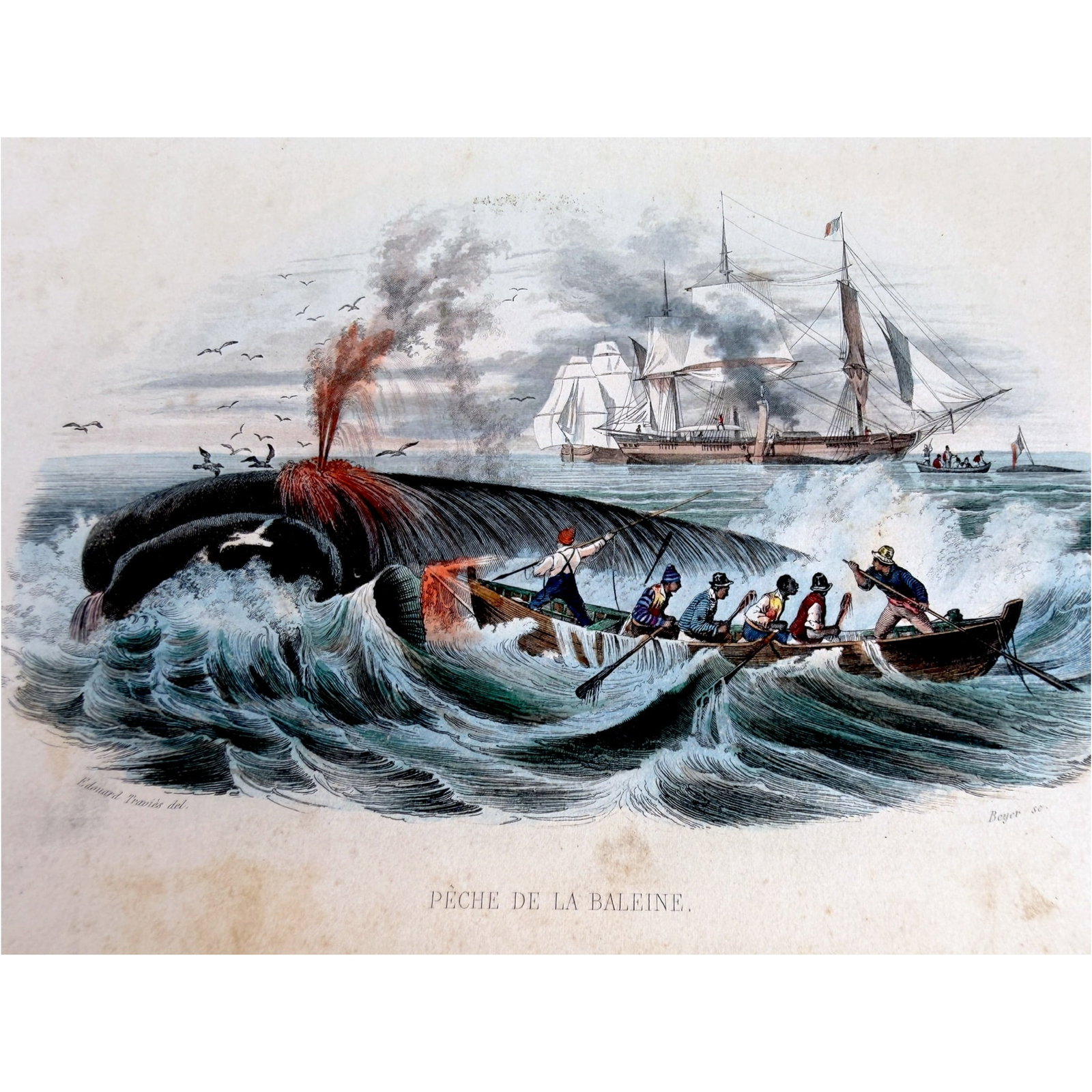 1840 E. TRAVIES PECHE DE LA BALEINE – WHALE HUNT (hand colored) (1 of 3)