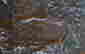 item-109642748=4