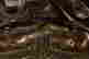 item-111566027=5