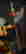 item-131213426=10