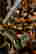 item-131213426=12