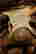 item-131213426=14