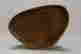 item-131213427=12