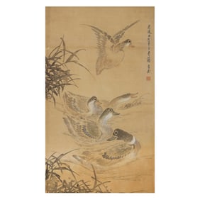 Duck Fun Picture