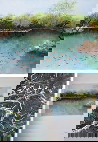 Watching Fish at Flower Harbor by Wu Guanzhong
