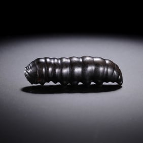 Jade Silkworm of the Warring States Period in China