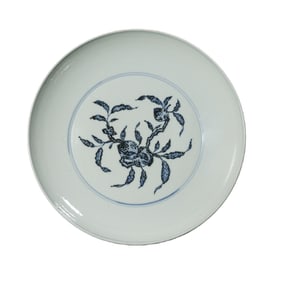 Chinese Qing Dynasty Blue and White Porcelain Plate with Floral Design