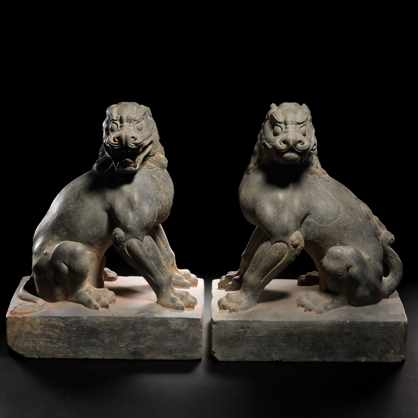 A pair of Chinese Tang Dynasty bluestone seated lion statues: H. 26 cm. W. 20.5 cm.