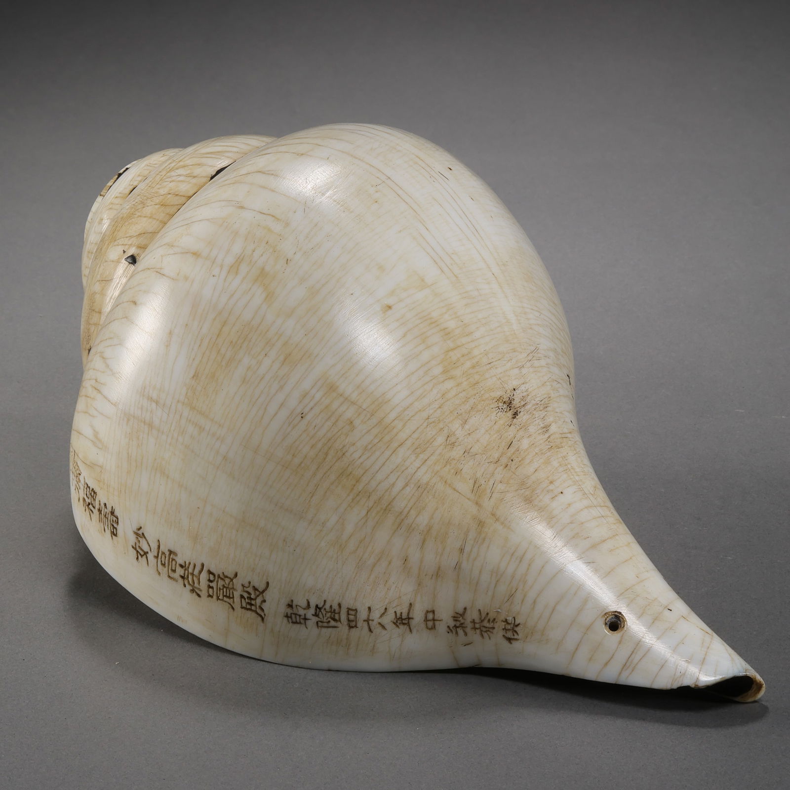 Buddhist conch shells from the Qing Dynasty in China: L. 19 cm. Weight. 984 gram.