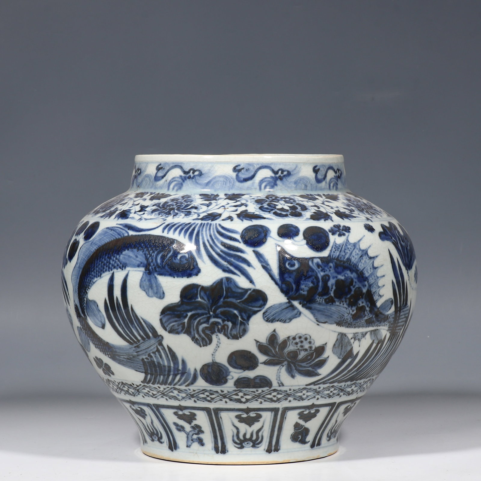 Chinese Yuan Dynasty Blue and White Porcelain Jar with Fish and Algae Design (1 of 9)