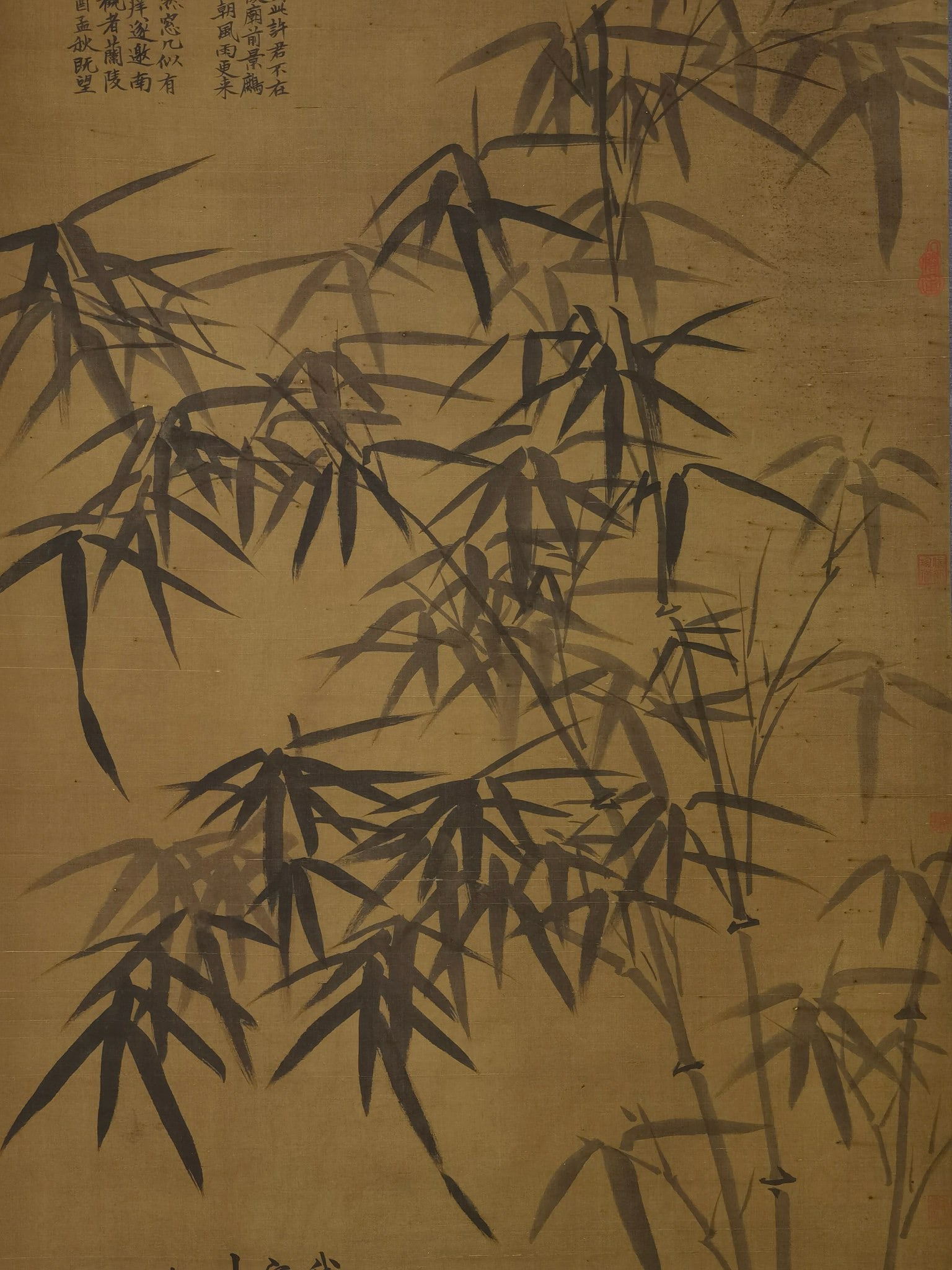 Ink Bamboo - 9