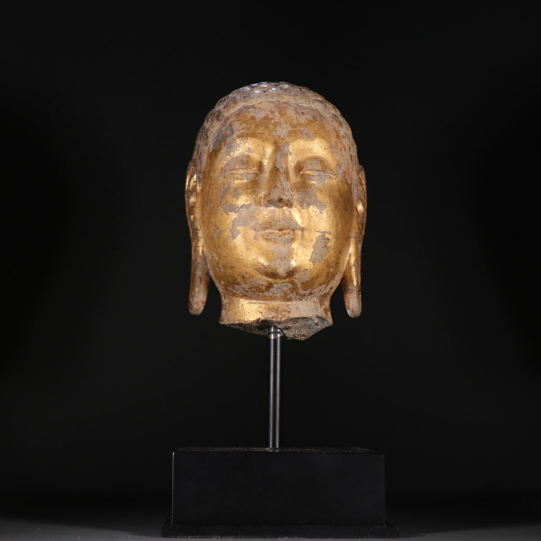 Gilded bluestone Buddha head from the late Tang and Five Dynasties period in China: H. 41 cm. W. 16 cm. Weight. 9900 gram.