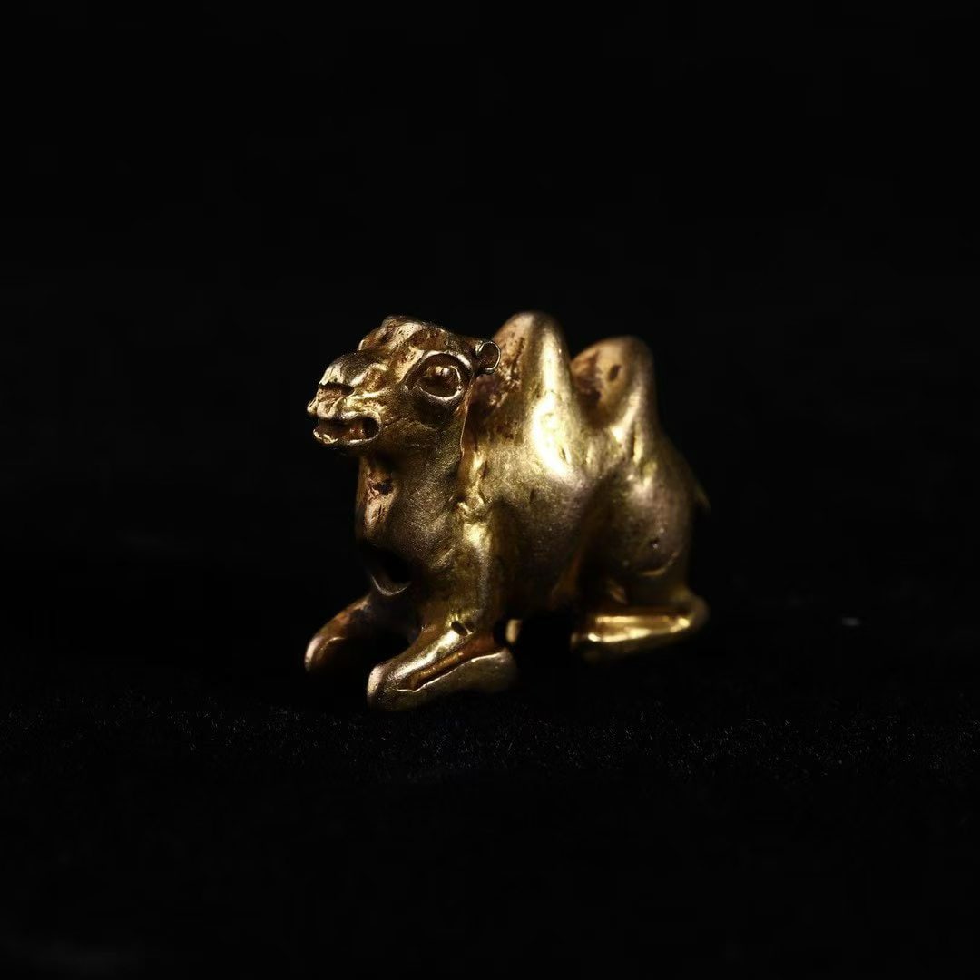 Golden Camel - 5