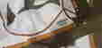 item-107105212=2