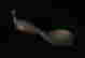 item-131600422=4