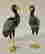item-131600440=6