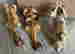 item-131600463=2