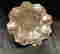 item-131600504=2