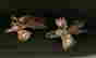 item-131600515=11