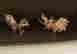 item-131600515=2
