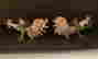 item-131600515=4