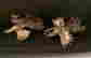 item-131600515=8