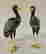 item-134057132=3