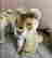 item-134057138=3