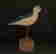 item-134057144=3