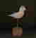 item-134057144=4