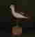 item-134057144=6
