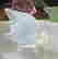 item-134294559=12