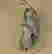 item-136953053=4