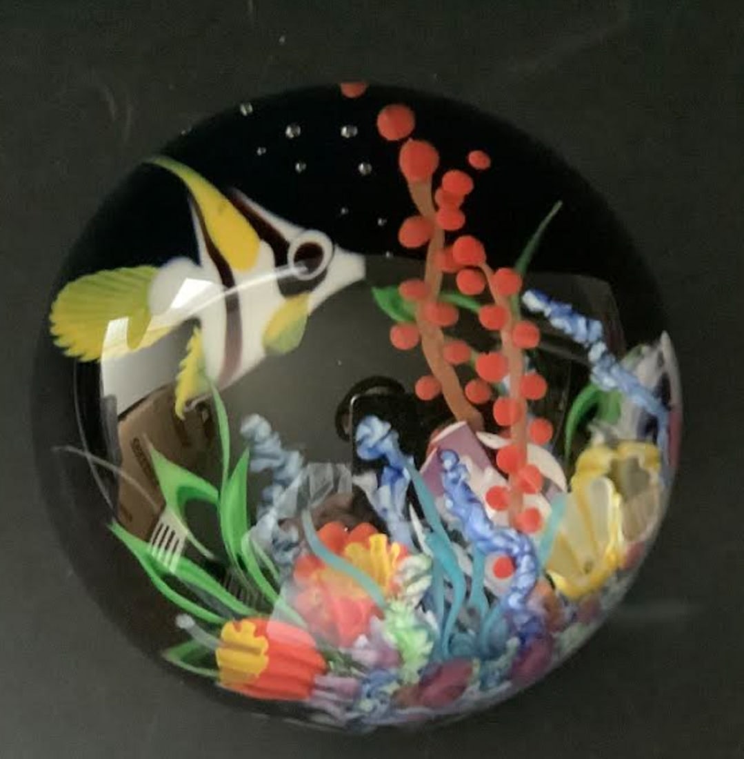 Mayauel Ward Signed "White Angel Fish, Coral Reef" Paperweight. (1 of 5)