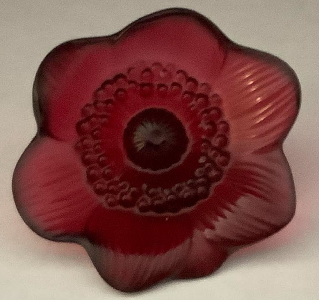 Lalique Signed Anemone flower with box and paperwork (1 of 6)