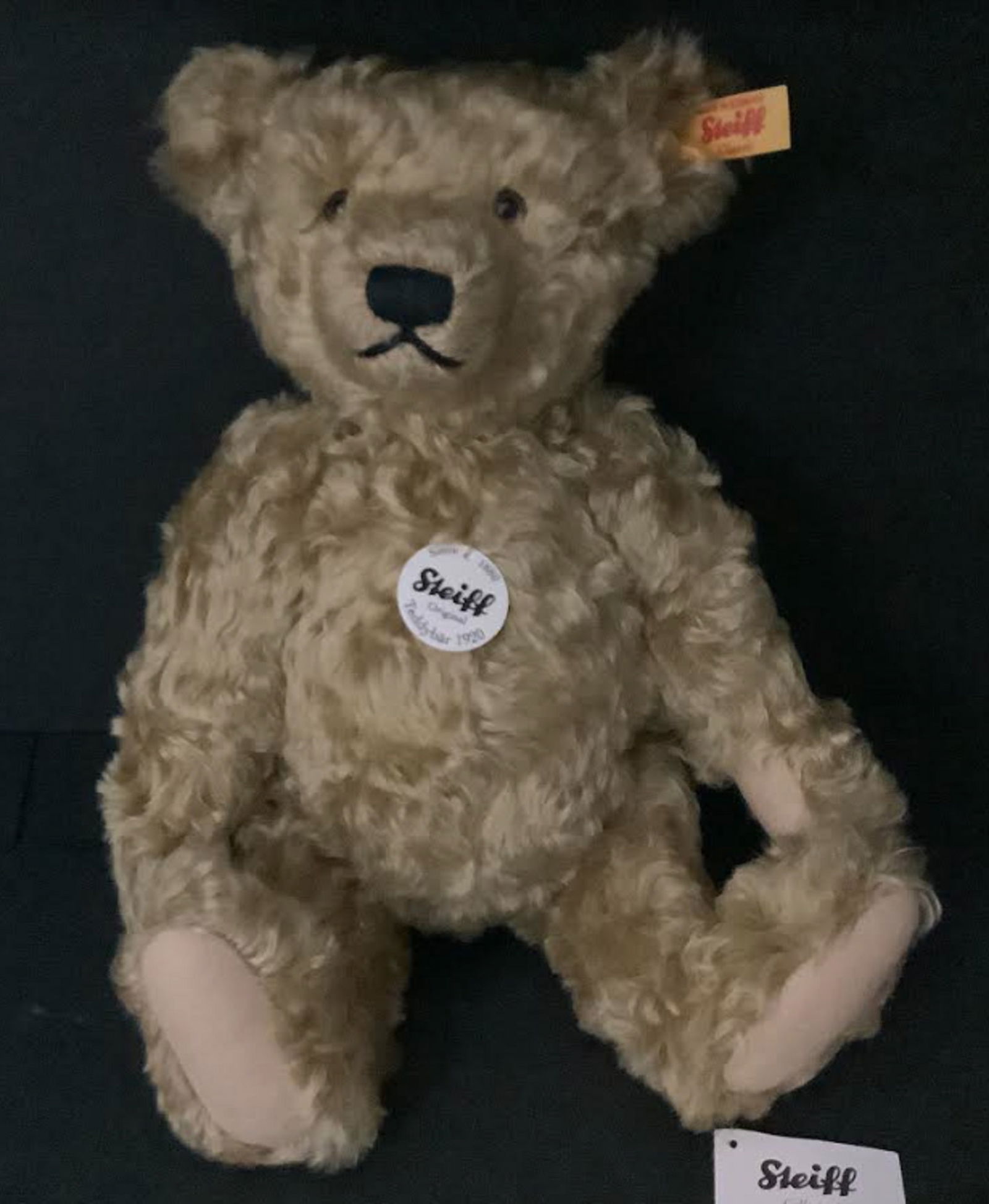 Steiff Teddybar Growler 1920 Mohair 13" With original Tag (1 of 6)