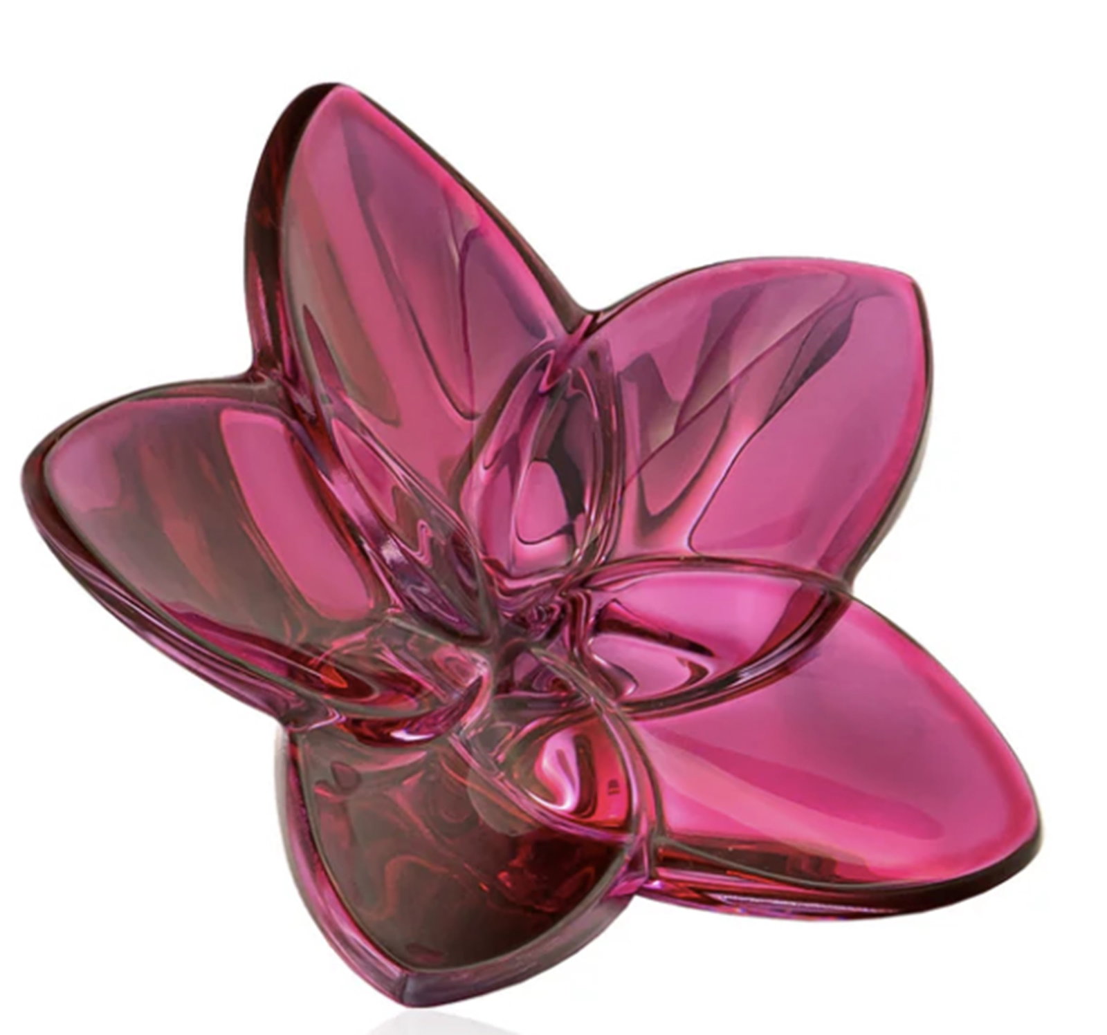 Baccarat Signed Crystal Orchids The Bloom With Orig Box: Baccarat Signed Crystal Orchids The Bloom With Orig Box. Measures approx Height: 2.36 inch / Width: 3.14 inch