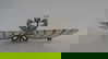 item-194856429=1
