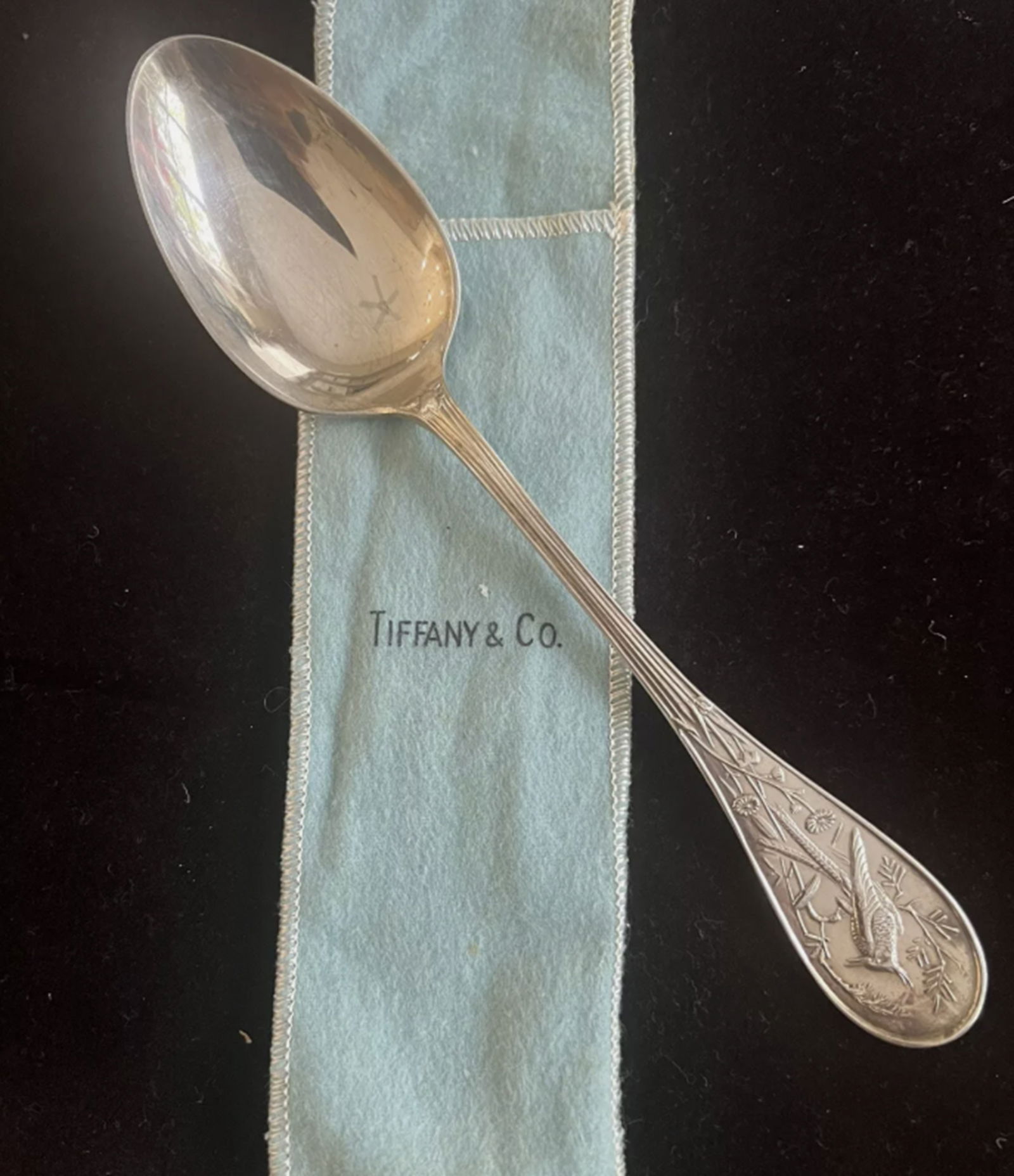 Tiffany & Co Sterling Silver Audubon Pattern Serving Spoon (1 of 7)