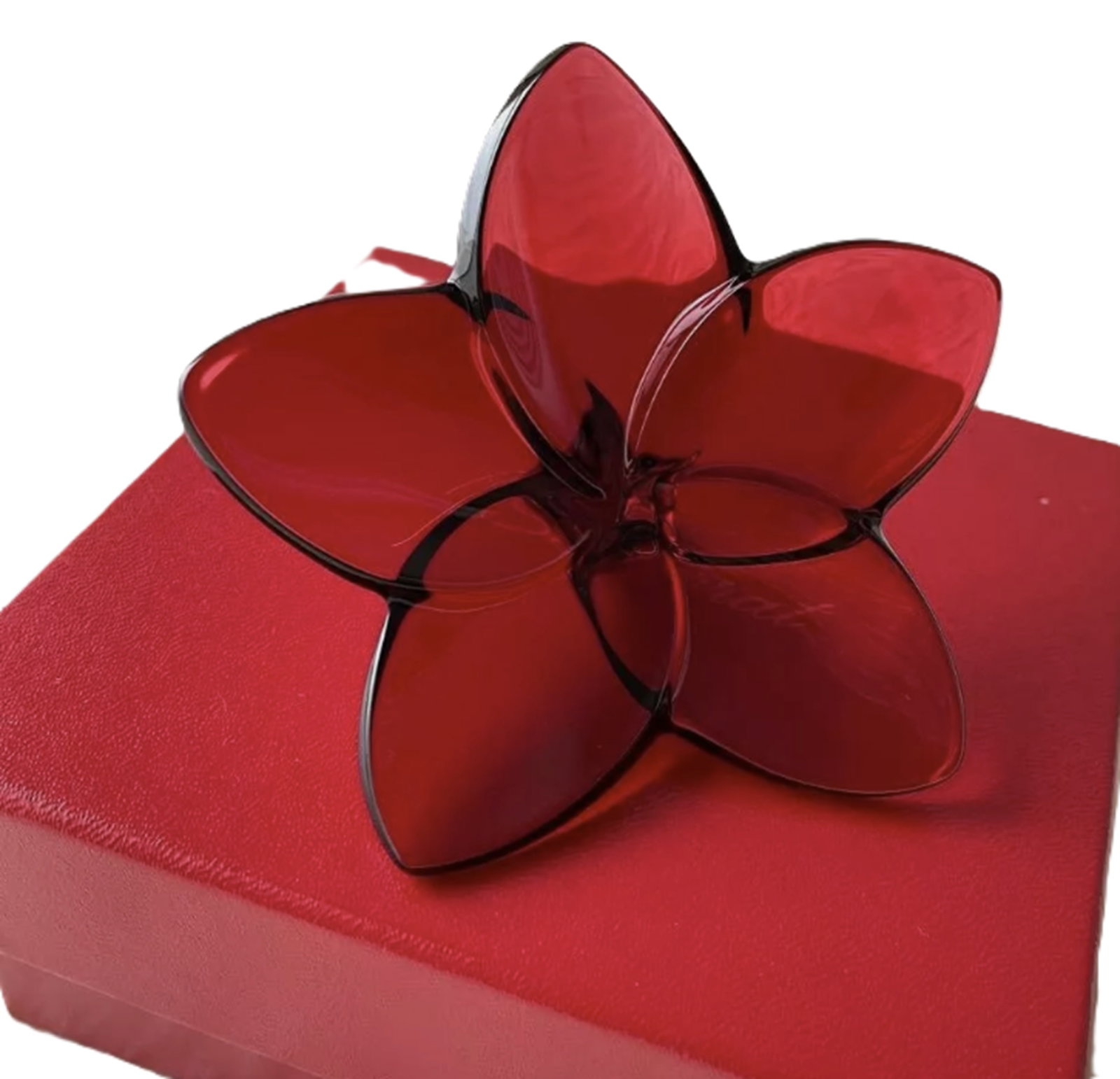 Baccarat Signed Crystal Red Orchid Flower with Orig Box: Baccarat Signed Crystal Red Orchid Flower with Orig Box. Measures approx 1.5 by 3.5 inches.