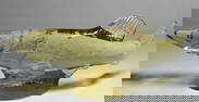 Kosta Boda Signed Swedish Glass Art Figurine by Paul Hoff for WWF Fish.
