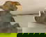 item-209106889=3