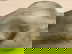 item-209106889=5
