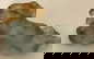 item-209106889=6