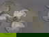 item-209106968=4