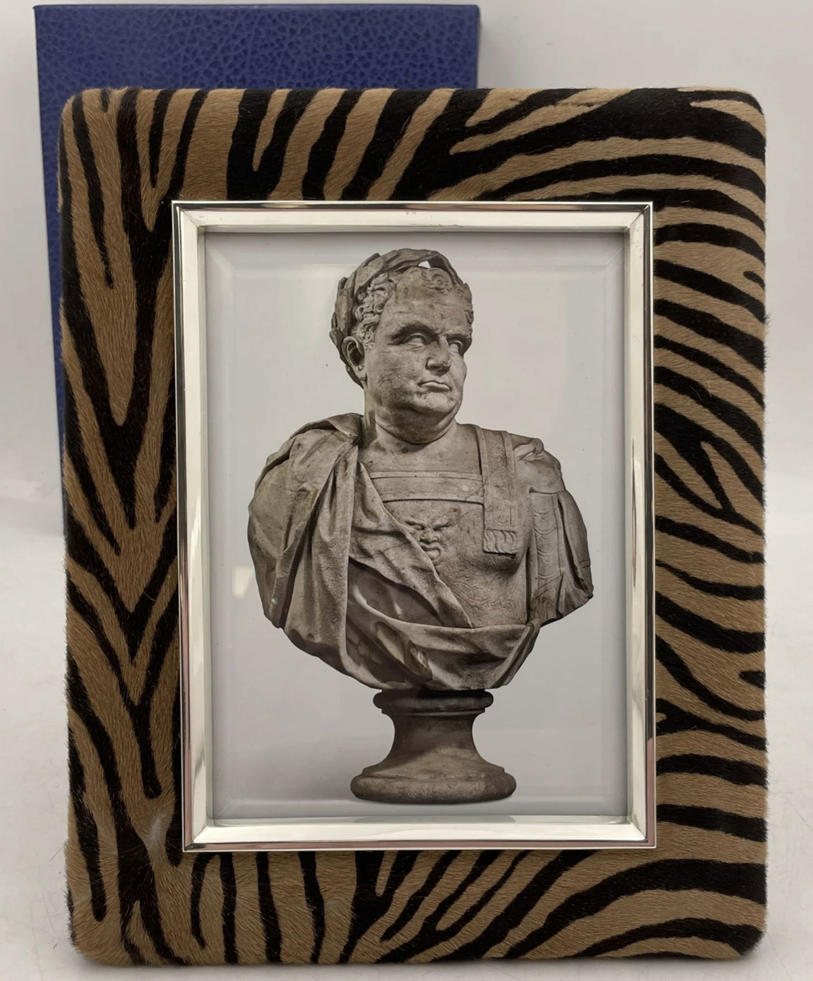 Del Conte Sterling Silver & Zebra Frame New in Box (1 of 5)