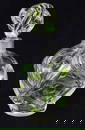 Lalique Large Signed Floride Crystal Perfume Bottle Made in France