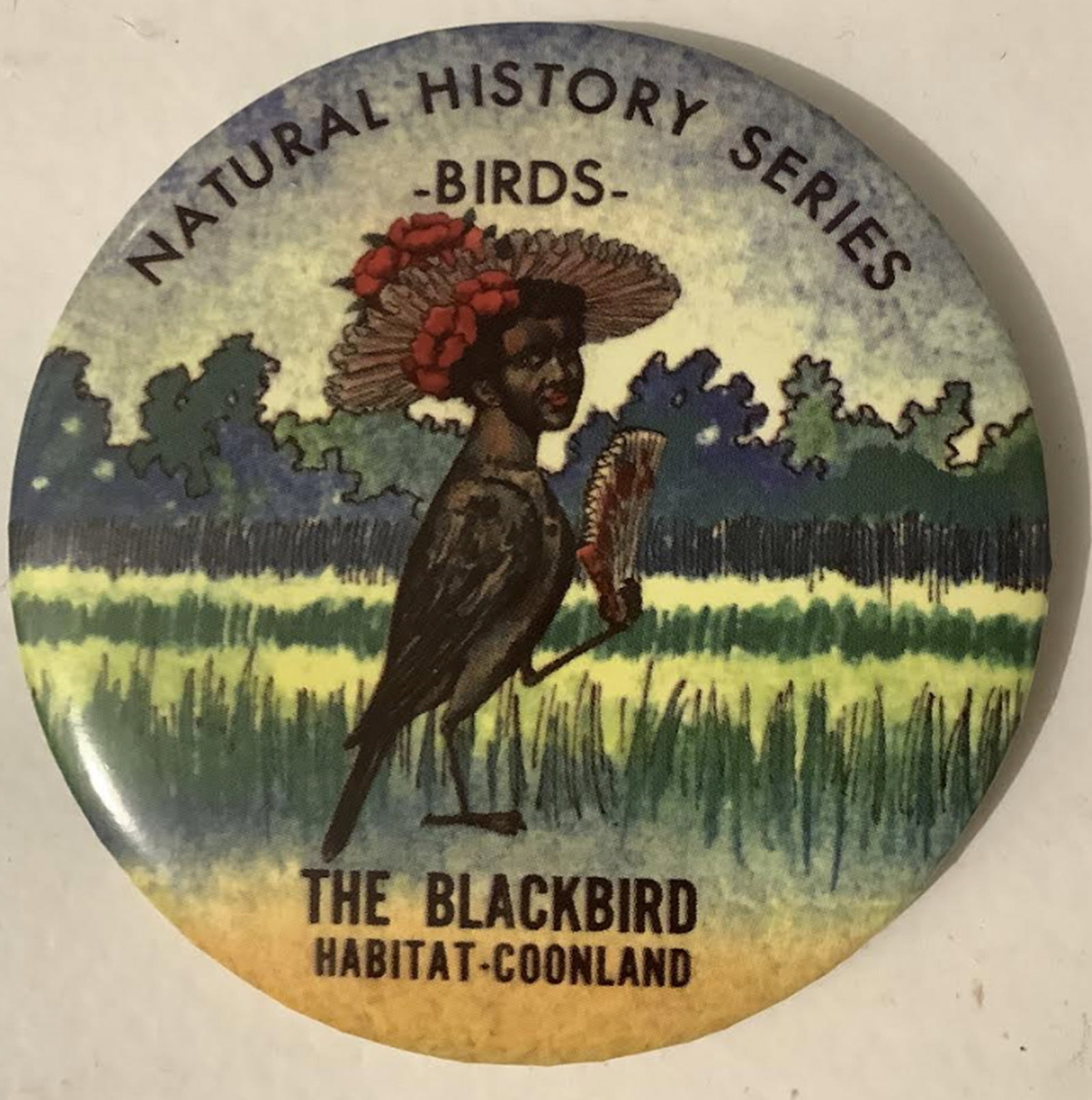 Black Americana Natural History Birds Tin Button Pin: Black Americana Natural History Birds Tin Button Pin Measures approx 3.5 inches accross