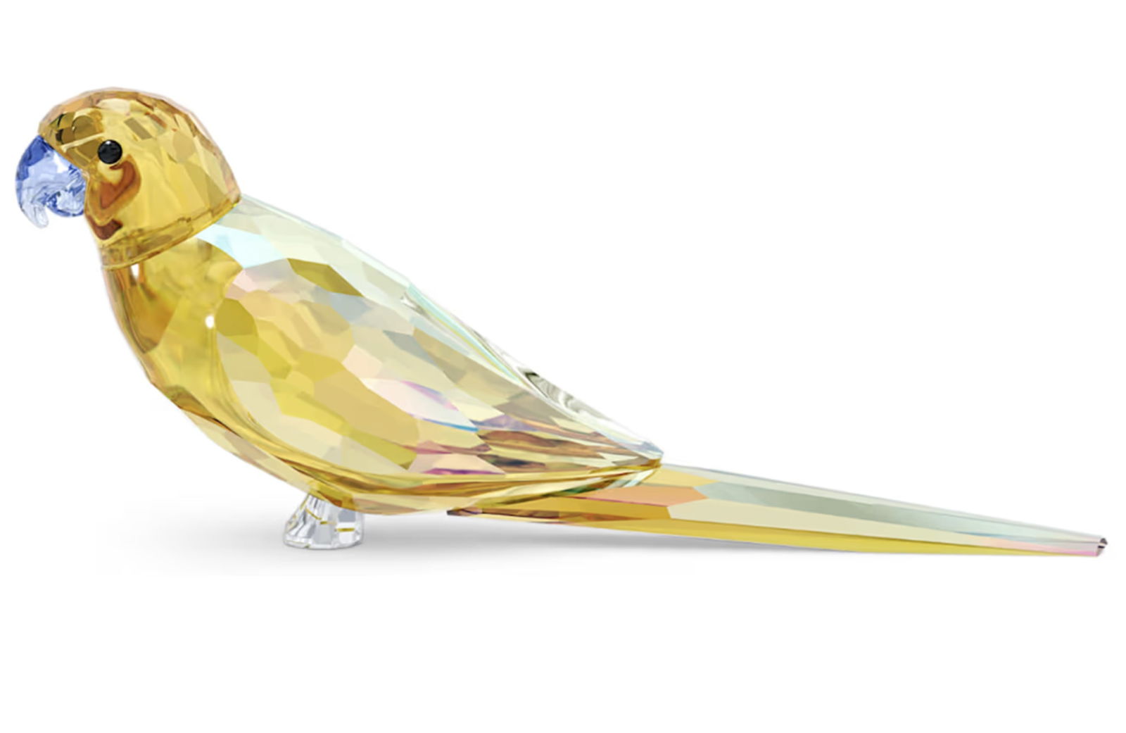 Swarovski Signed Crystal Jungle Beats  Parakeet Figurine With Box (1 of 4)